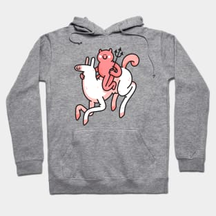 Devil on a horse Hoodie